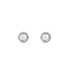 Pendientes de perlas en oro blanco con orla de diamantes