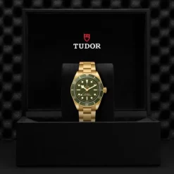 Tudor Black Bay 58 18K esfera verde 39mm