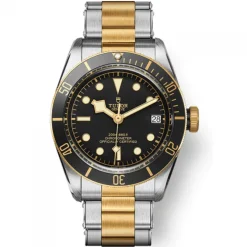 Tudor Black Bay S&G 41mm